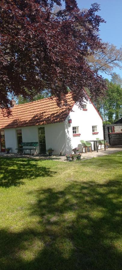 Vakantiewoning 'T Bakhuus Bergentheim Екстер'єр фото