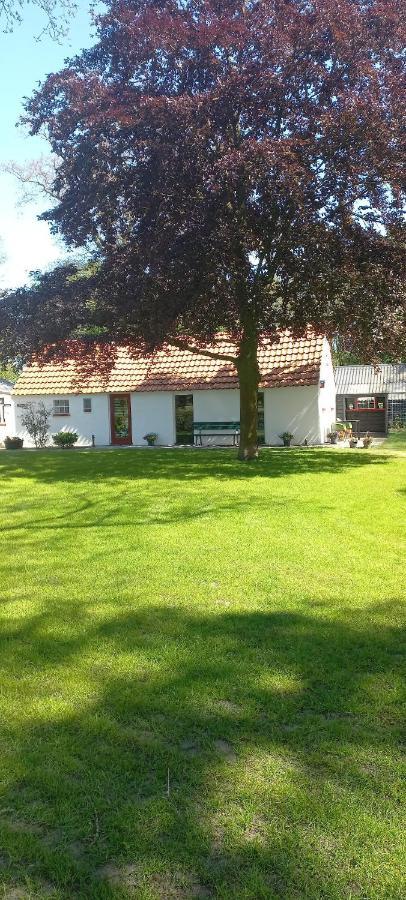Vakantiewoning 'T Bakhuus Bergentheim Екстер'єр фото